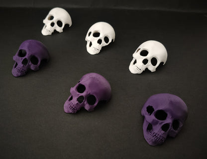 Teschi Decorativi Per terrari